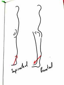 doc-21-feb-2017-12-10